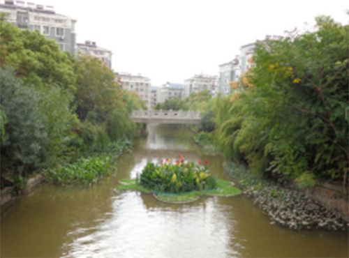 生態(tài)構(gòu)建技術(shù)