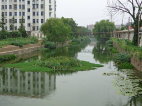 生態(tài)構(gòu)建技術(shù)