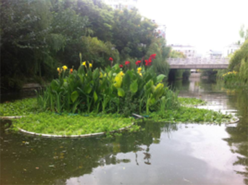 生態(tài)構(gòu)建技術(shù)