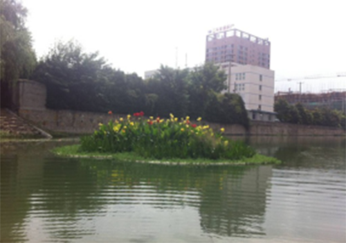 生態(tài)構(gòu)建技術(shù)