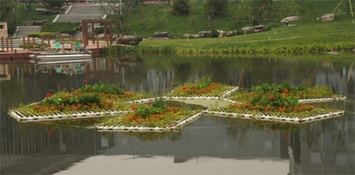 生態(tài)構(gòu)建技術(shù)