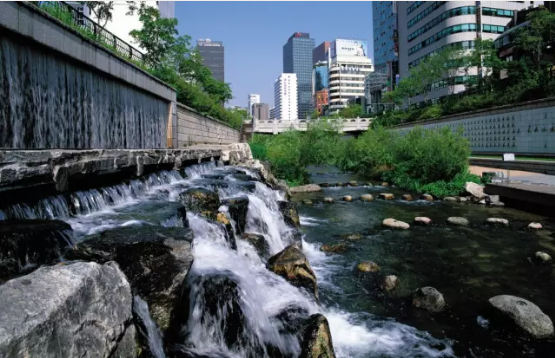 河道景觀設(shè)計(jì)：、綠化、綜合治理、生態(tài)修復(fù)及植物選擇