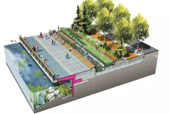 河道景觀設(shè)計(jì)：、綠化、綜合治理、生態(tài)修復(fù)及植物選擇