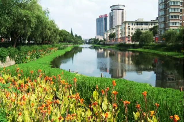 河道景觀設(shè)計(jì)：、綠化、綜合治理、生態(tài)修復(fù)及植物選擇