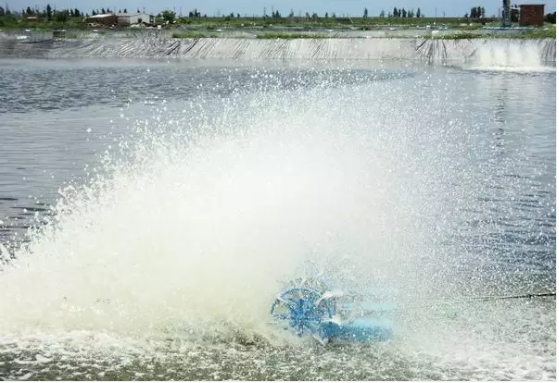 河道景觀設(shè)計(jì)：、綠化、綜合治理、生態(tài)修復(fù)及植物選擇