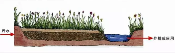 河道景觀設(shè)計(jì)：、綠化、綜合治理、生態(tài)修復(fù)及植物選擇