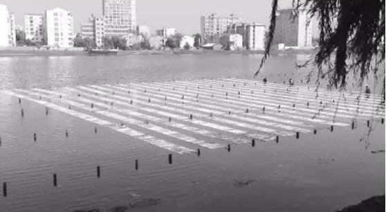 河道景觀設(shè)計(jì)：、綠化、綜合治理、生態(tài)修復(fù)及植物選擇