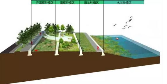 河道景觀設(shè)計(jì)：、綠化、綜合治理、生態(tài)修復(fù)及植物選擇