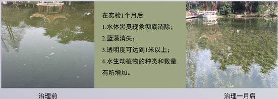 合肥稻香樓賓館水體治理工程