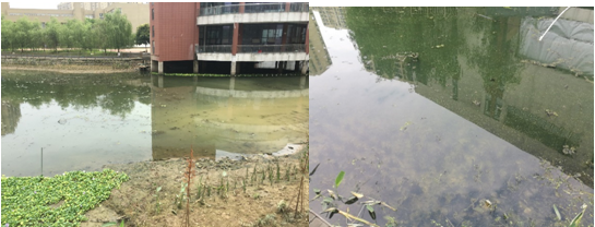 蕪湖旭日天都水體治理工程