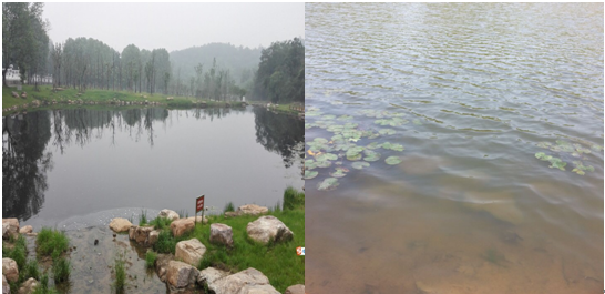 南京牛首山公園水體治理工程