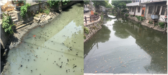 常州龍溪河水體治理工程