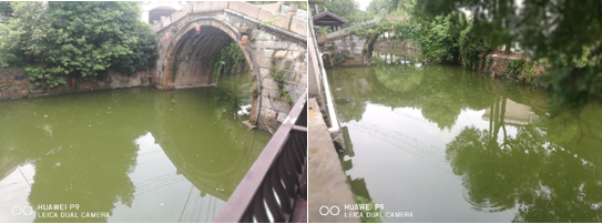 常州龍溪河水體治理工程