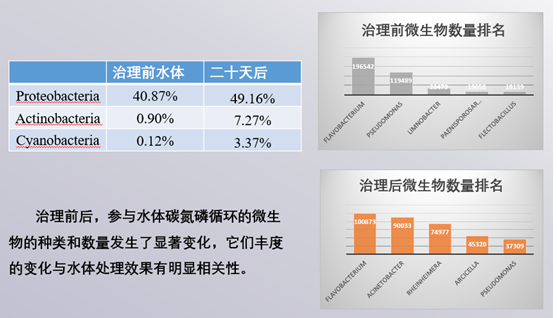 上海楊浦區(qū)長海新村西湖園水體治理工程
