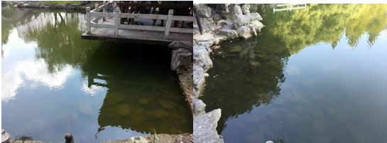 上海楊浦區(qū)長海新村西湖園水體治理工程