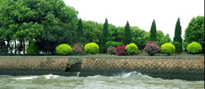 常用水生生態環境質量改善工程探析