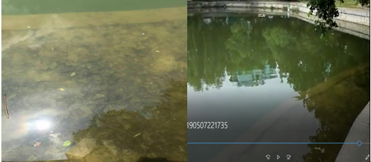 【黑臭水體治理】氣浮法解決含油量廢水的加工工藝提升科學研究