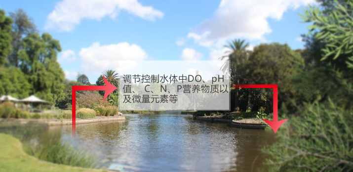 【黑臭水體治理】氣浮法解決含油量廢水的加工工藝提升科學研究